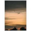 0378d241-94d7-4d04-a5c2-e0244768fee7