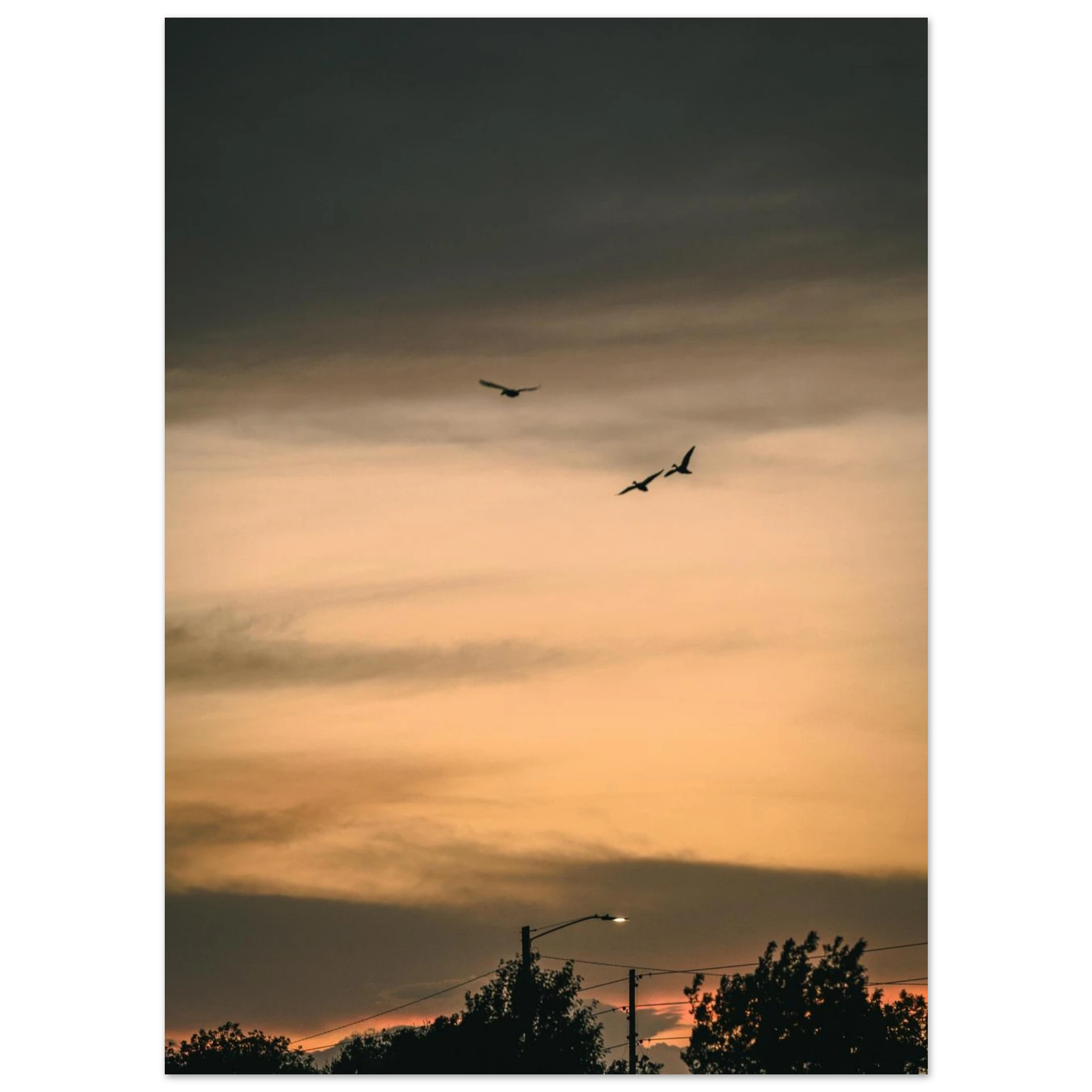 0378d241-94d7-4d04-a5c2-e0244768fee7
