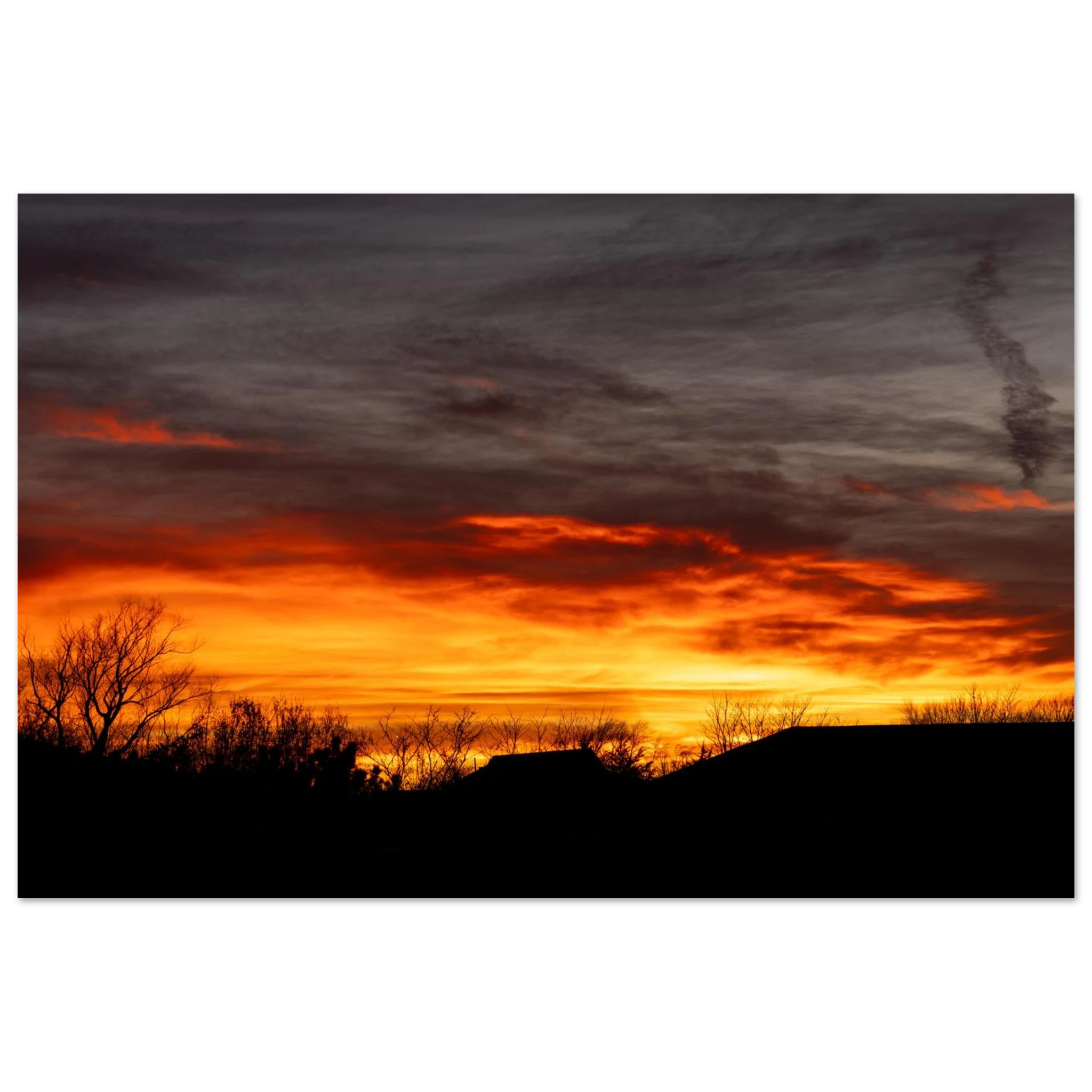 155881c2-bfa5-425c-9357-7cd503eb855d