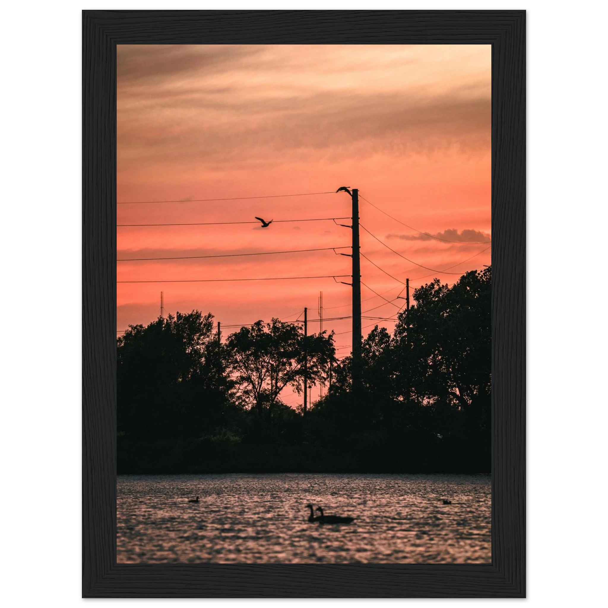 1b124530-06f2-46ea-b668-49370994d770