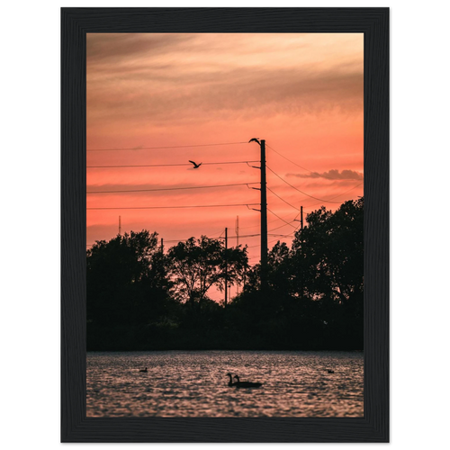 1b124530-06f2-46ea-b668-49370994d770