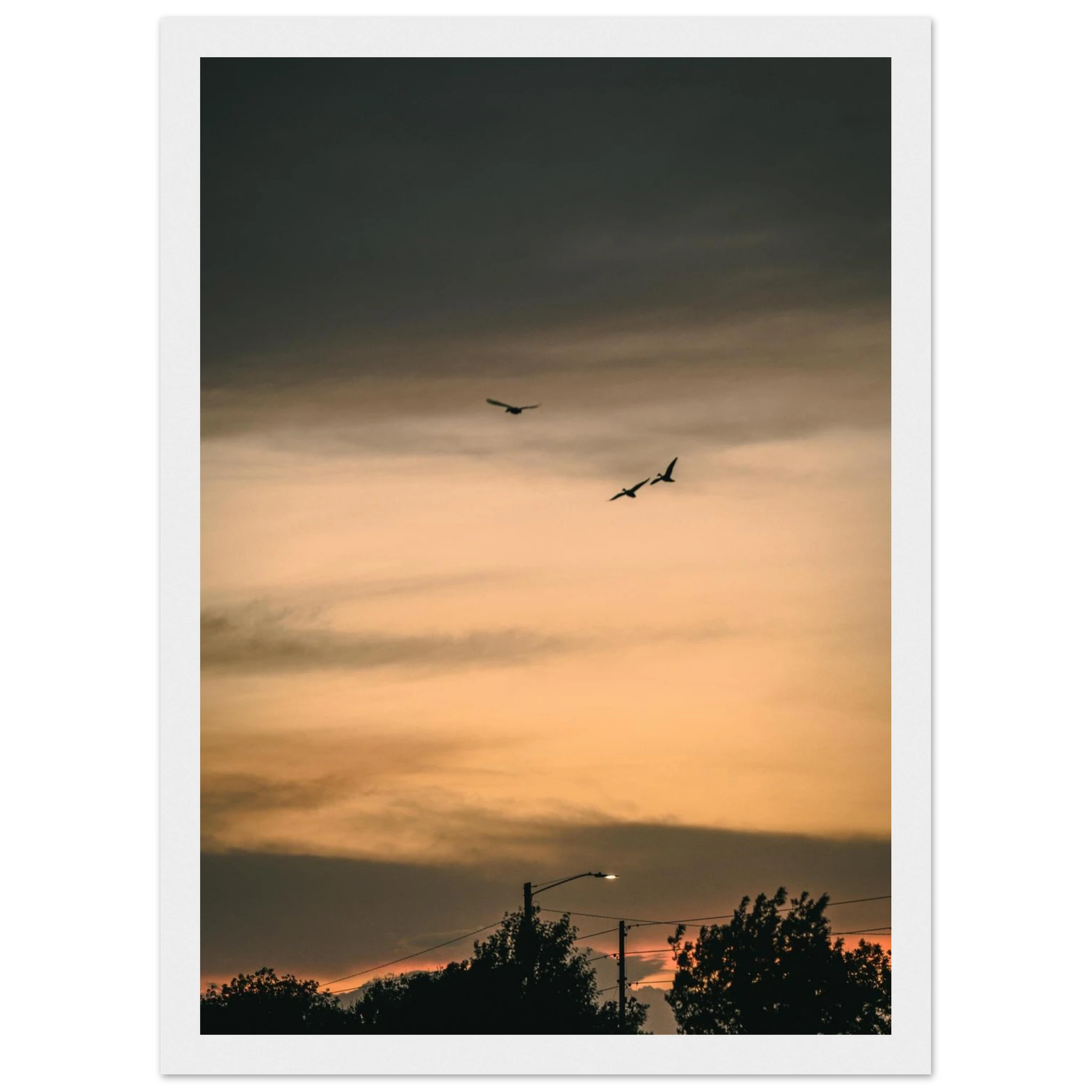 1dbdfdb8-be4e-4eec-a84b-d8b777afb3f1