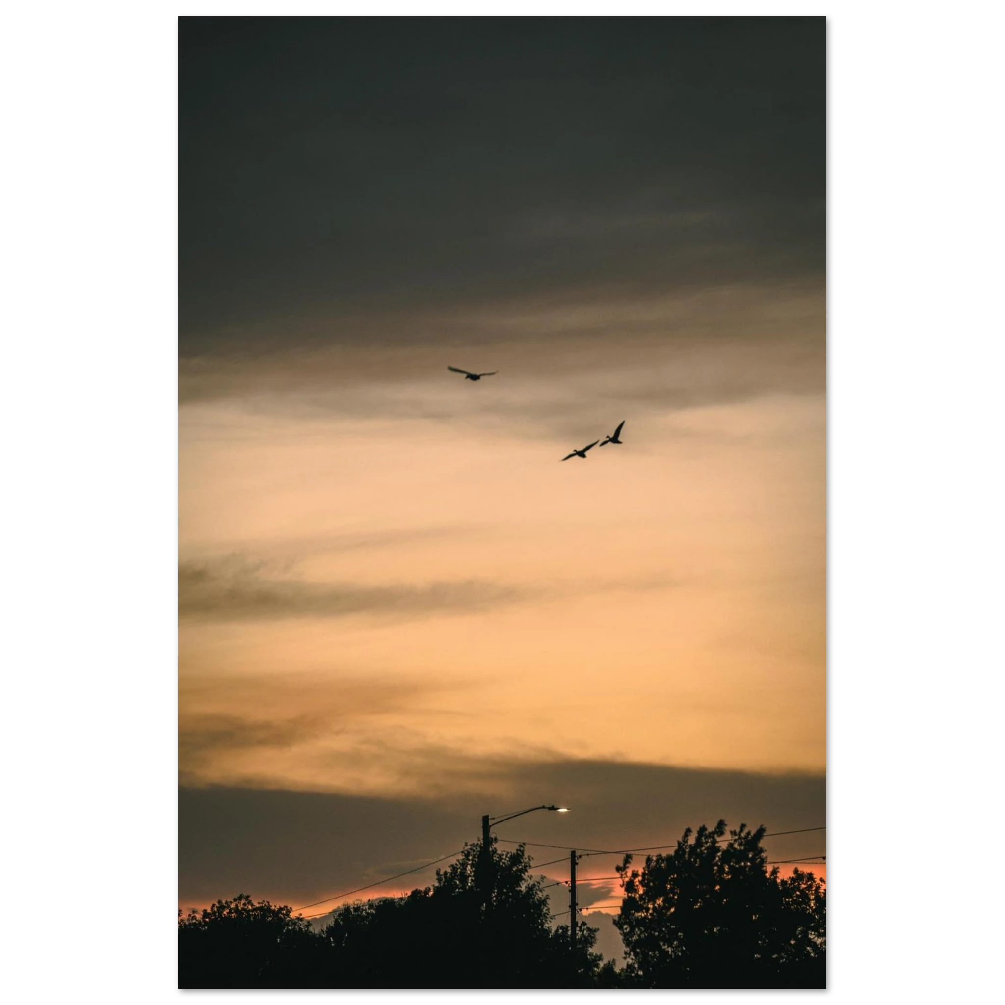 3321c110-c1bb-44e0-ba65-2ad56cc149e1