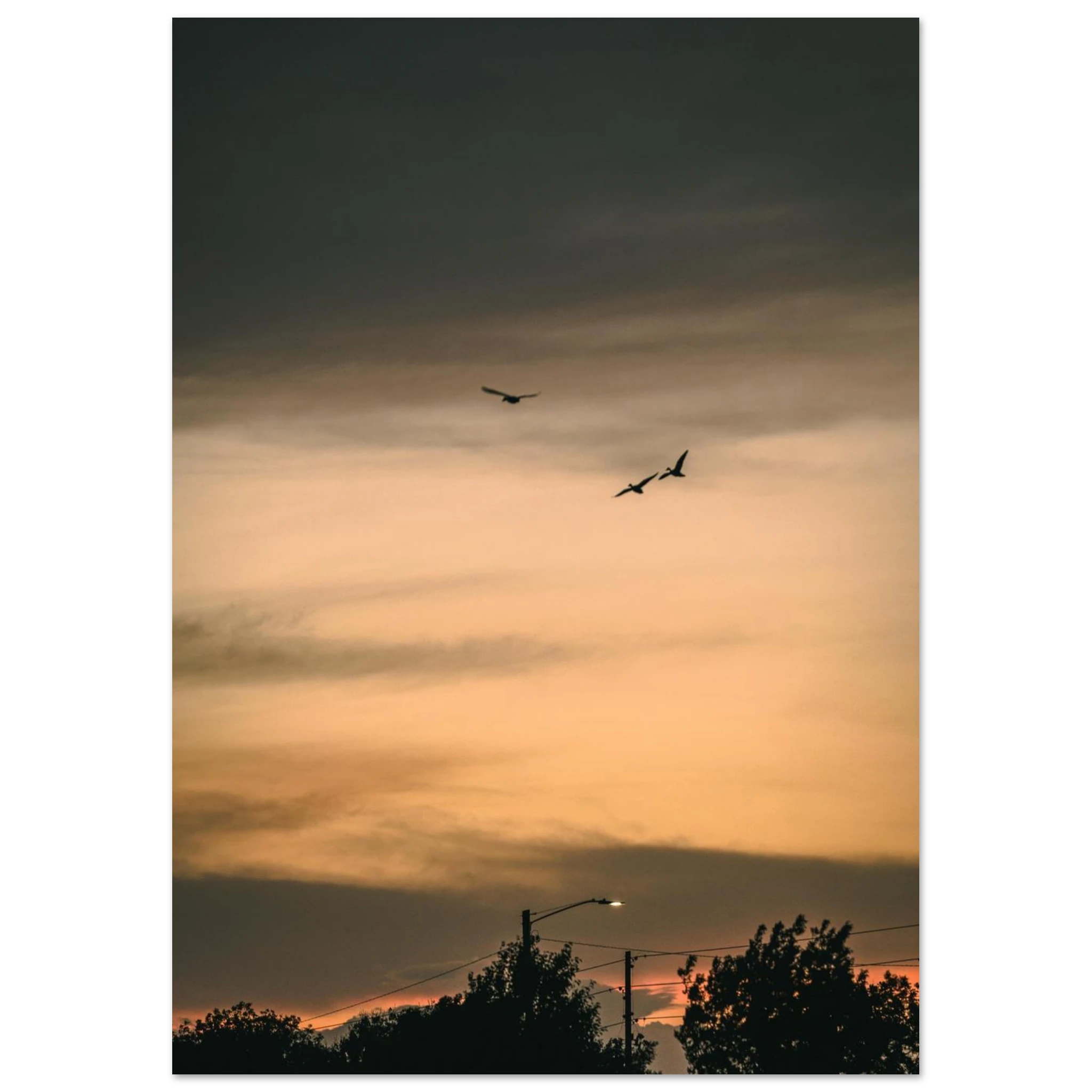 7f8524b0-f784-4e5c-b41d-56d3479b74ae