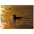9d3ea4cf-d4fd-4df6-be17-3e4cf10215db