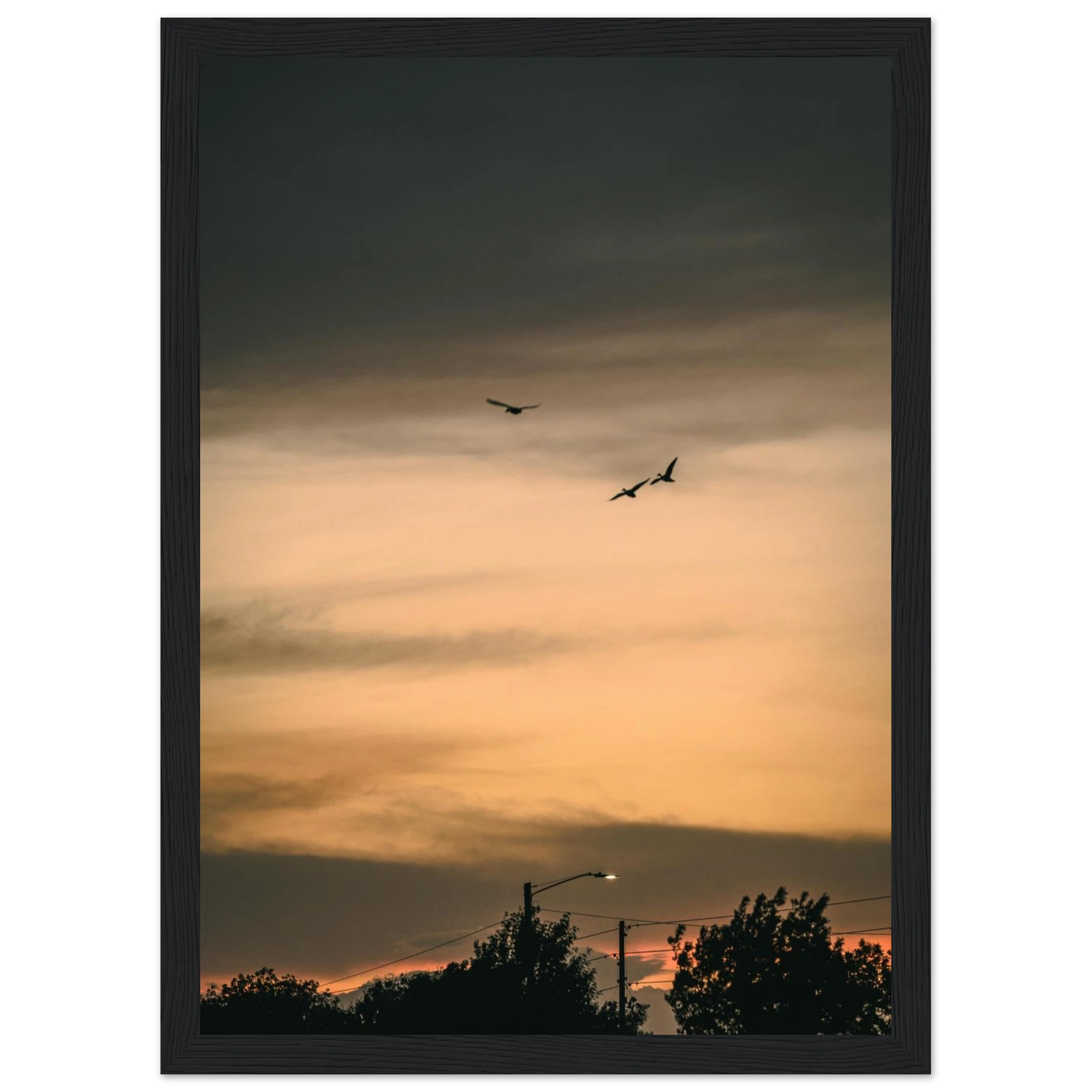 9eaf4255-c61e-40c2-abfd-00bd80068f4b
