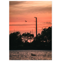 e79b4a26-3602-4729-82cf-c6c87b603648