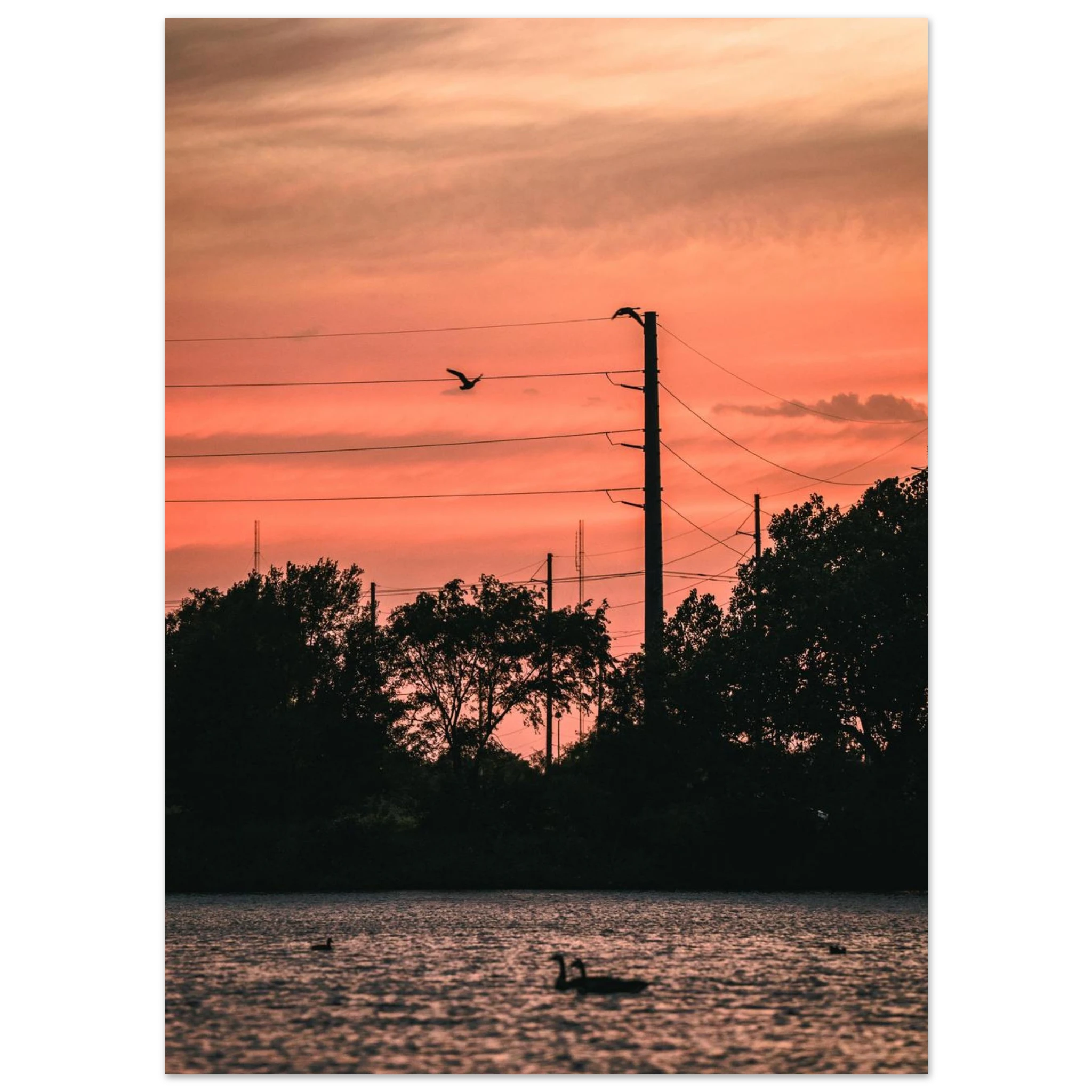 e79b4a26-3602-4729-82cf-c6c87b603648