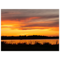 f9b55906-9cb0-44d4-8afd-a98465226f68